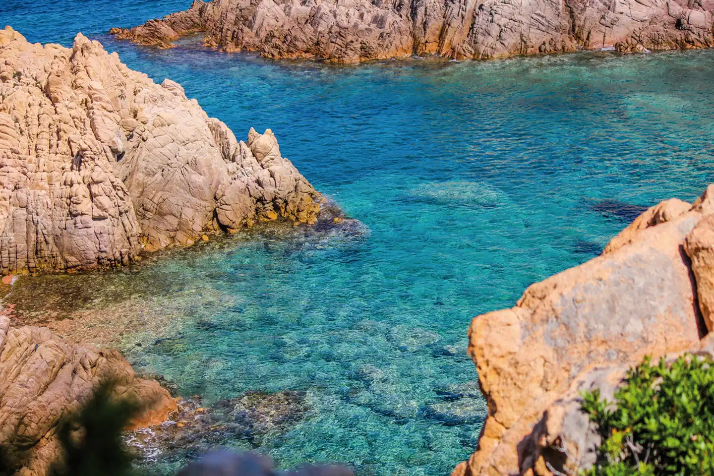 Hotel Costa Paradiso Tiere