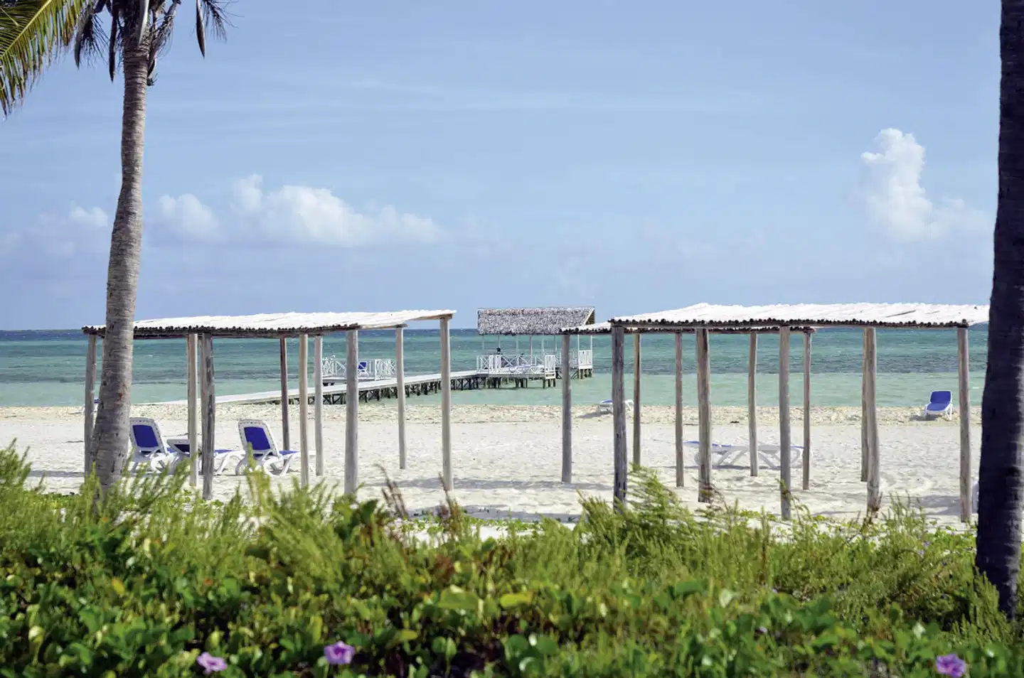 Starfish Cayo Guillermo Terrasse