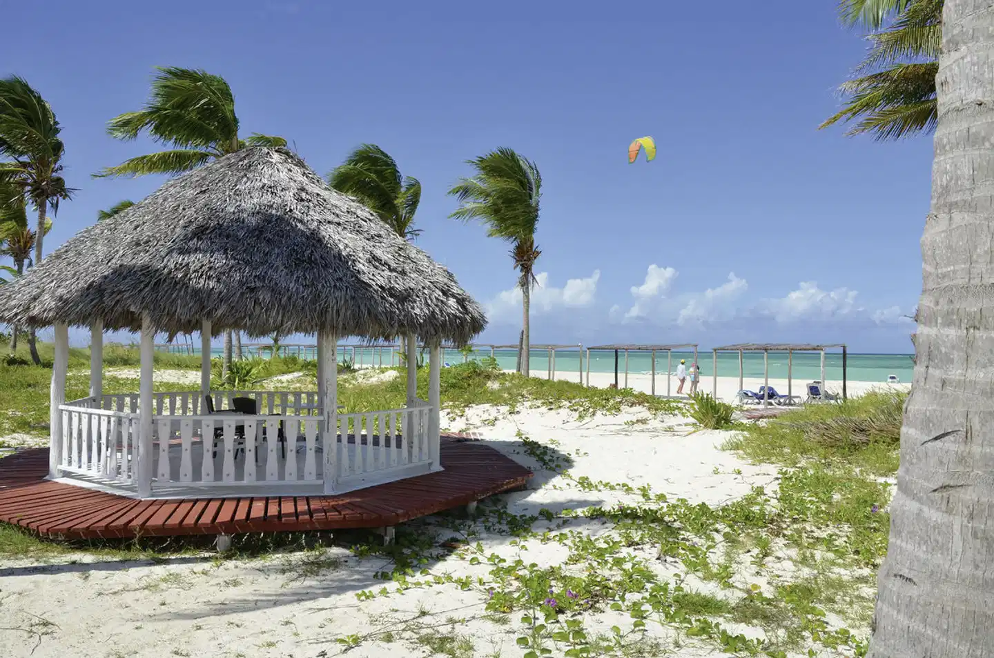 Starfish Cayo Guillermo Strand