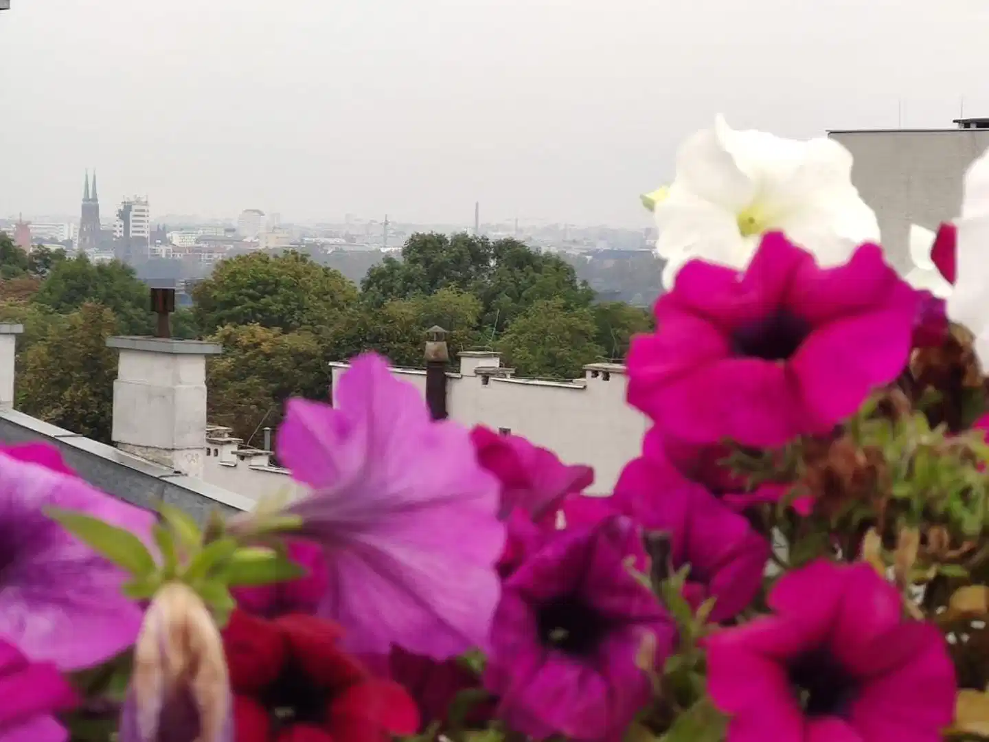 Chopin Boutique B&B Landschaft