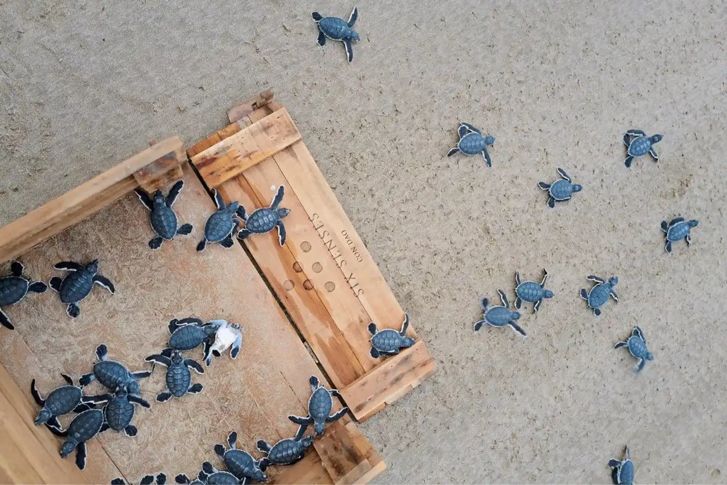 Six Senses Con Dao Resort Strand