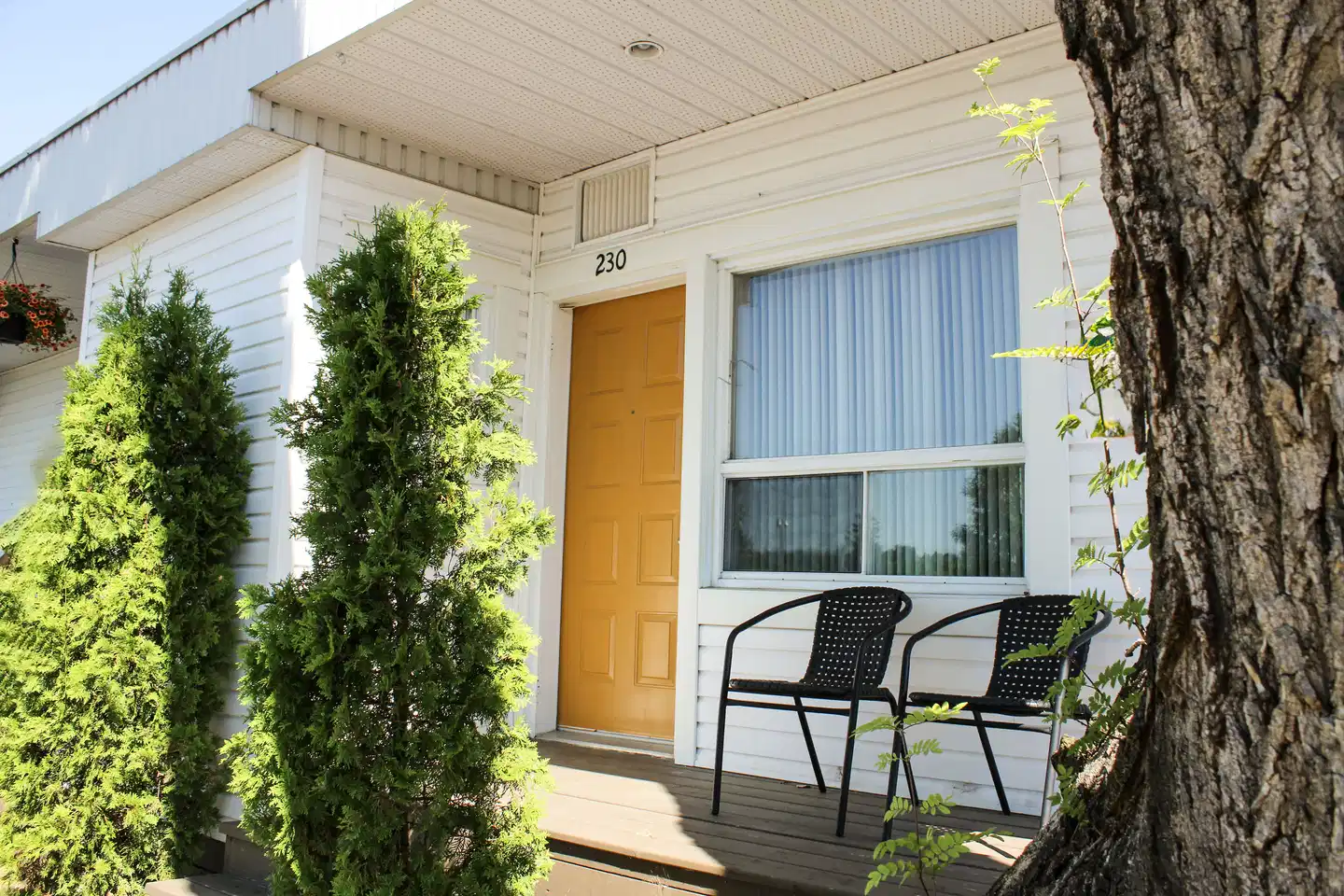 Auberge le Parasol Terrasse