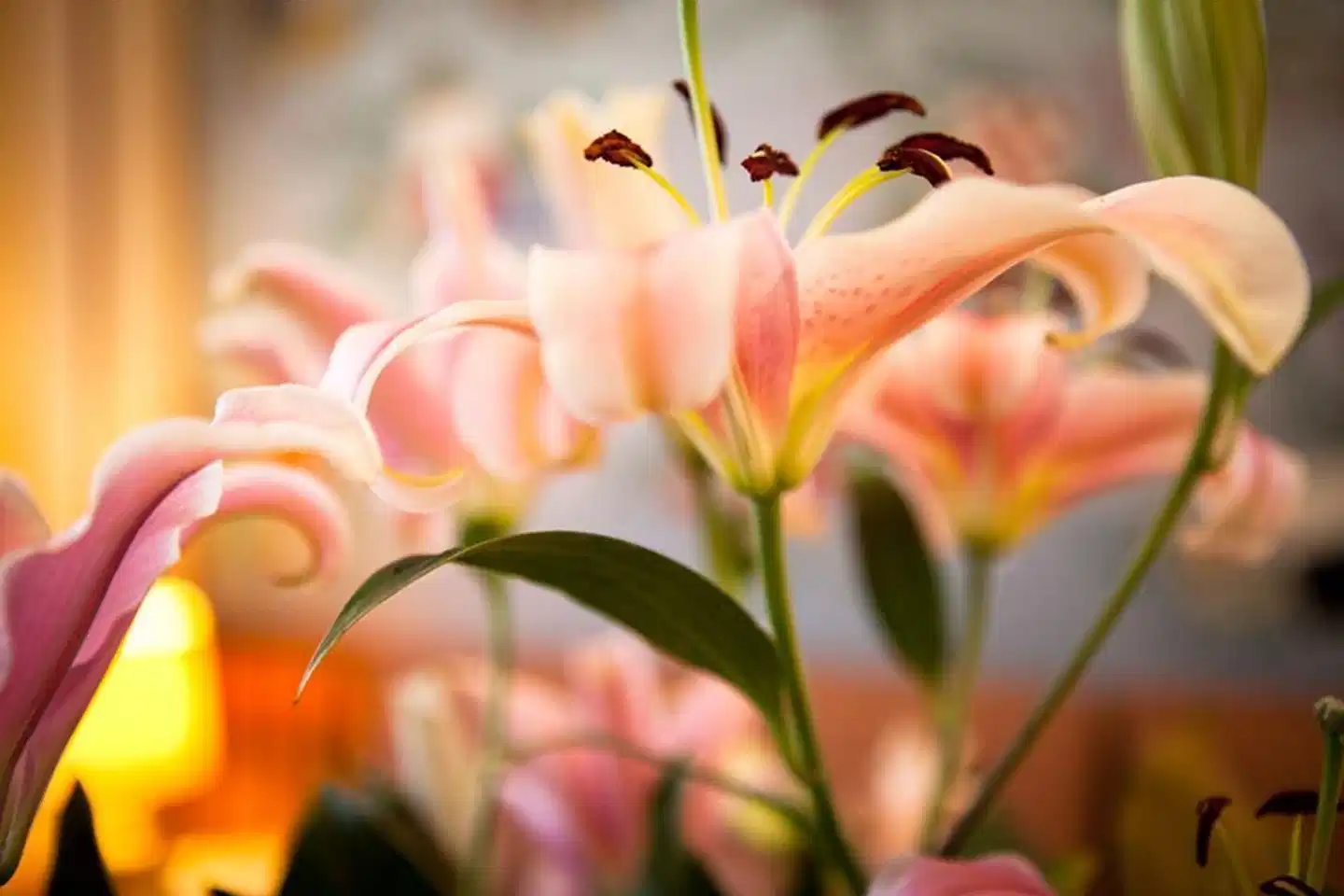 Terminus & Plaza Restaurant