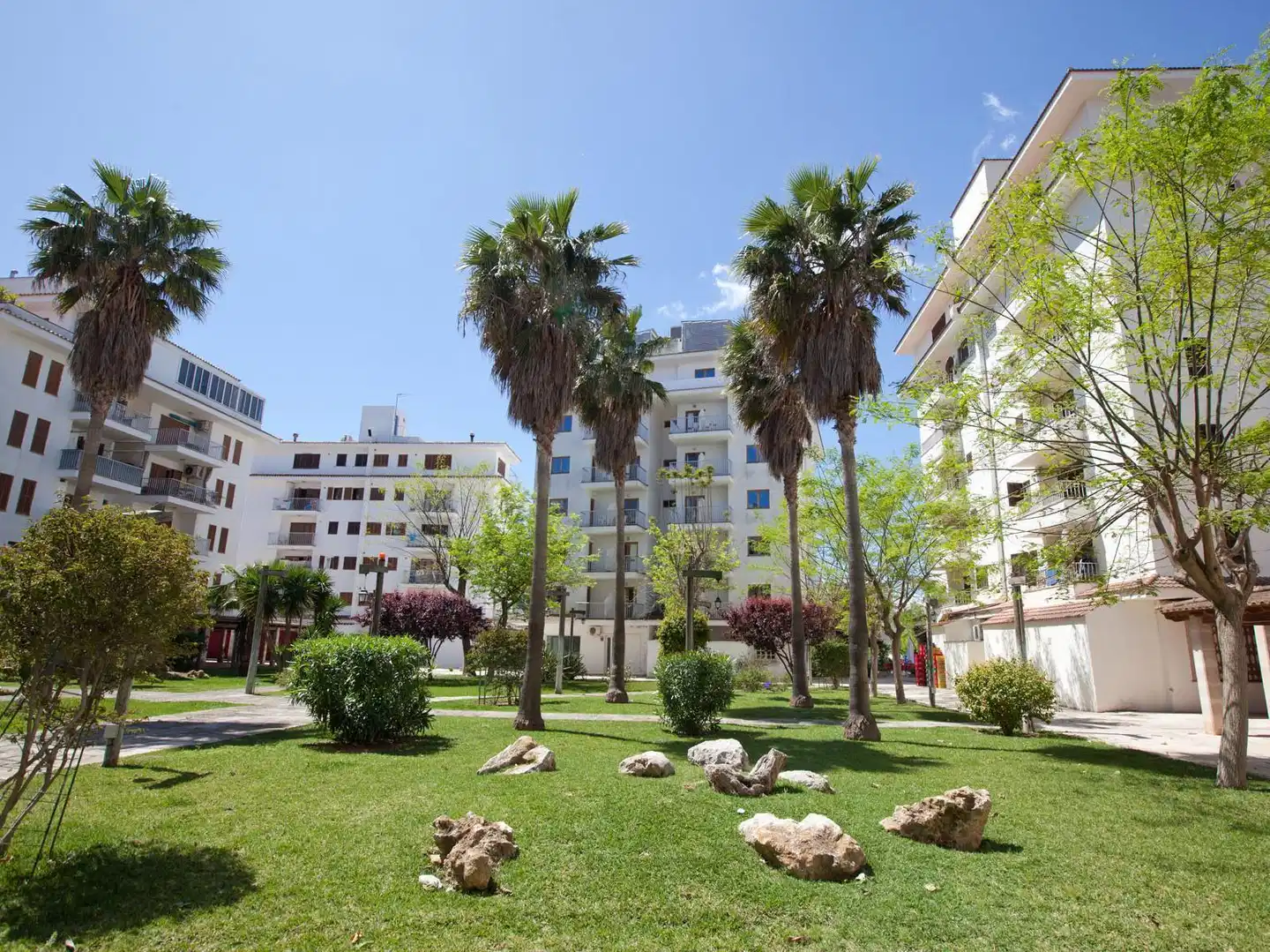 Lime Tamarindos Garten