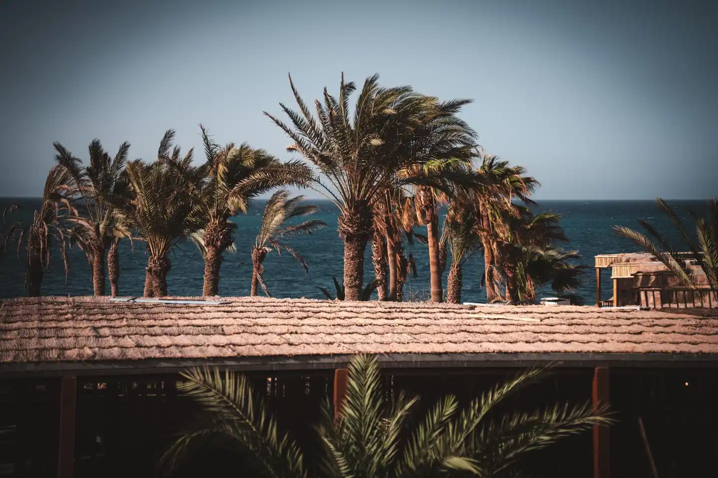 ananea Hurghada Terrasse