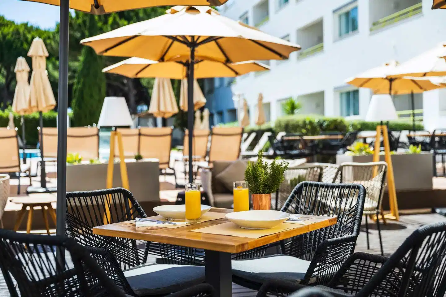 The Patio Suite Hotel TERRACE