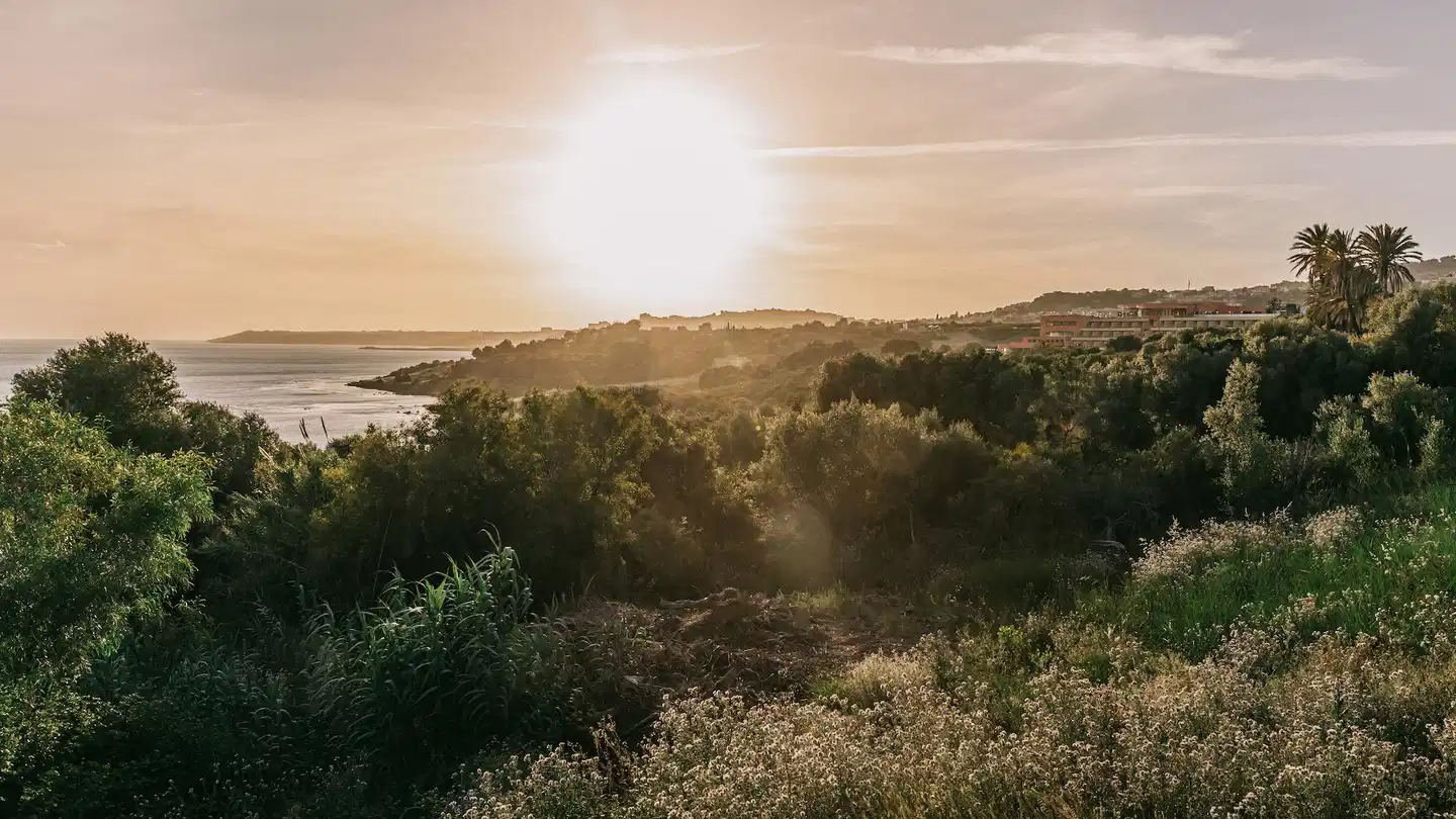 MClub Cala Regina Landschaft