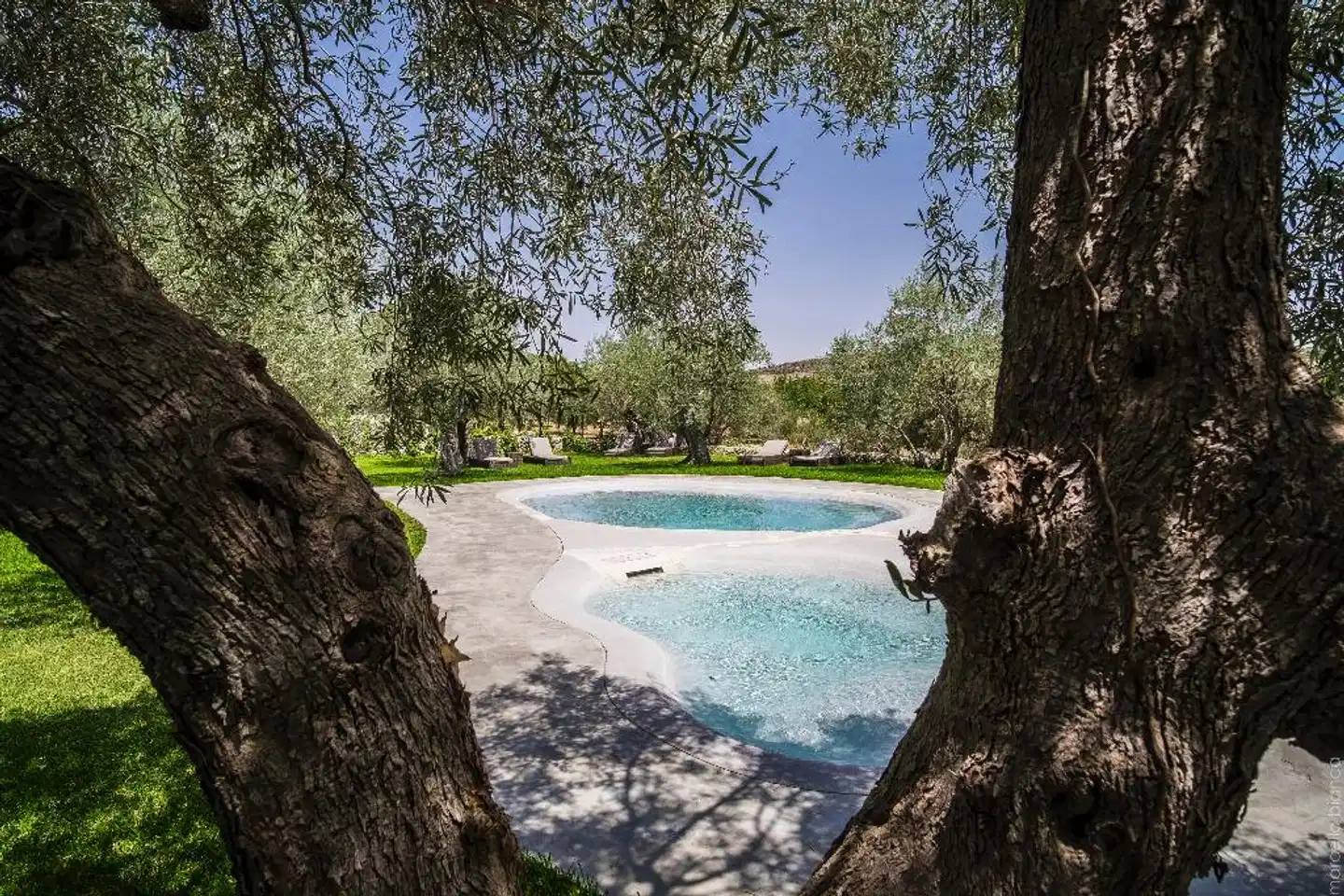 Masseria Degli Ulivi Pool
