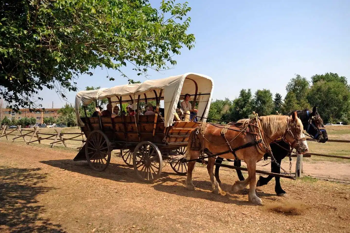 Hampton Inn & Suites Denver-Cherry Creek Tiere