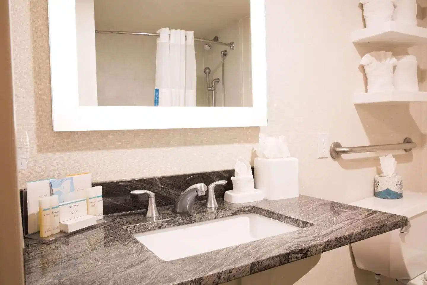 Hampton Inn & Suites Seattle-Downtown Badezimmer