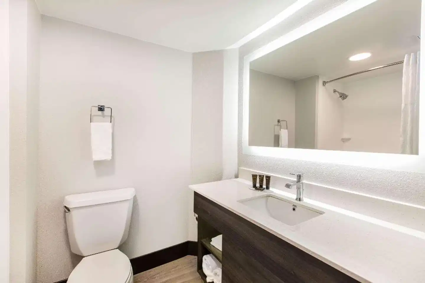 Wingate by Wyndham Goodlettsville Badezimmer