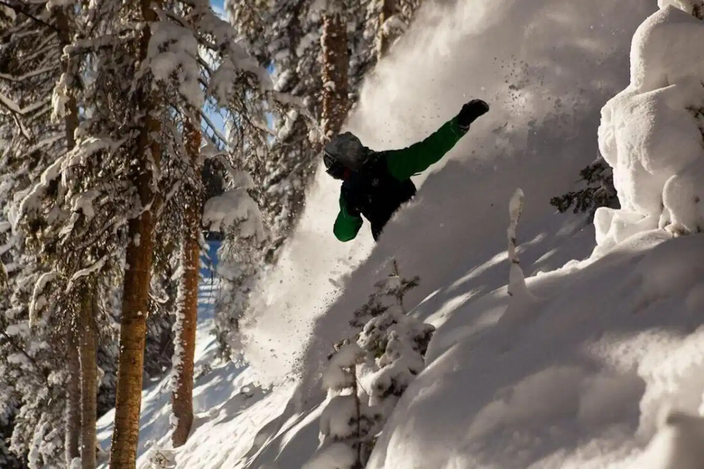 St Moritz Lodge and Condominiums Landschaft