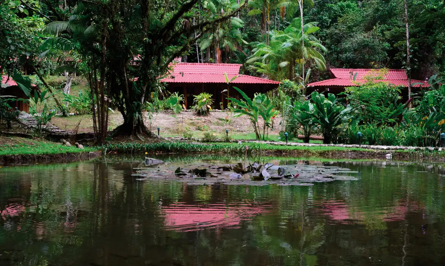 Esquinas Rainforest Lodge Garten