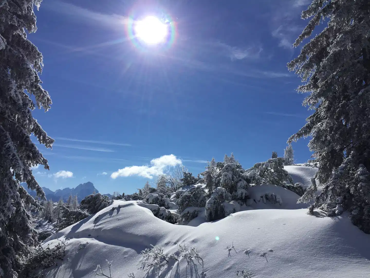 Bierhotel Loncium Landschaft