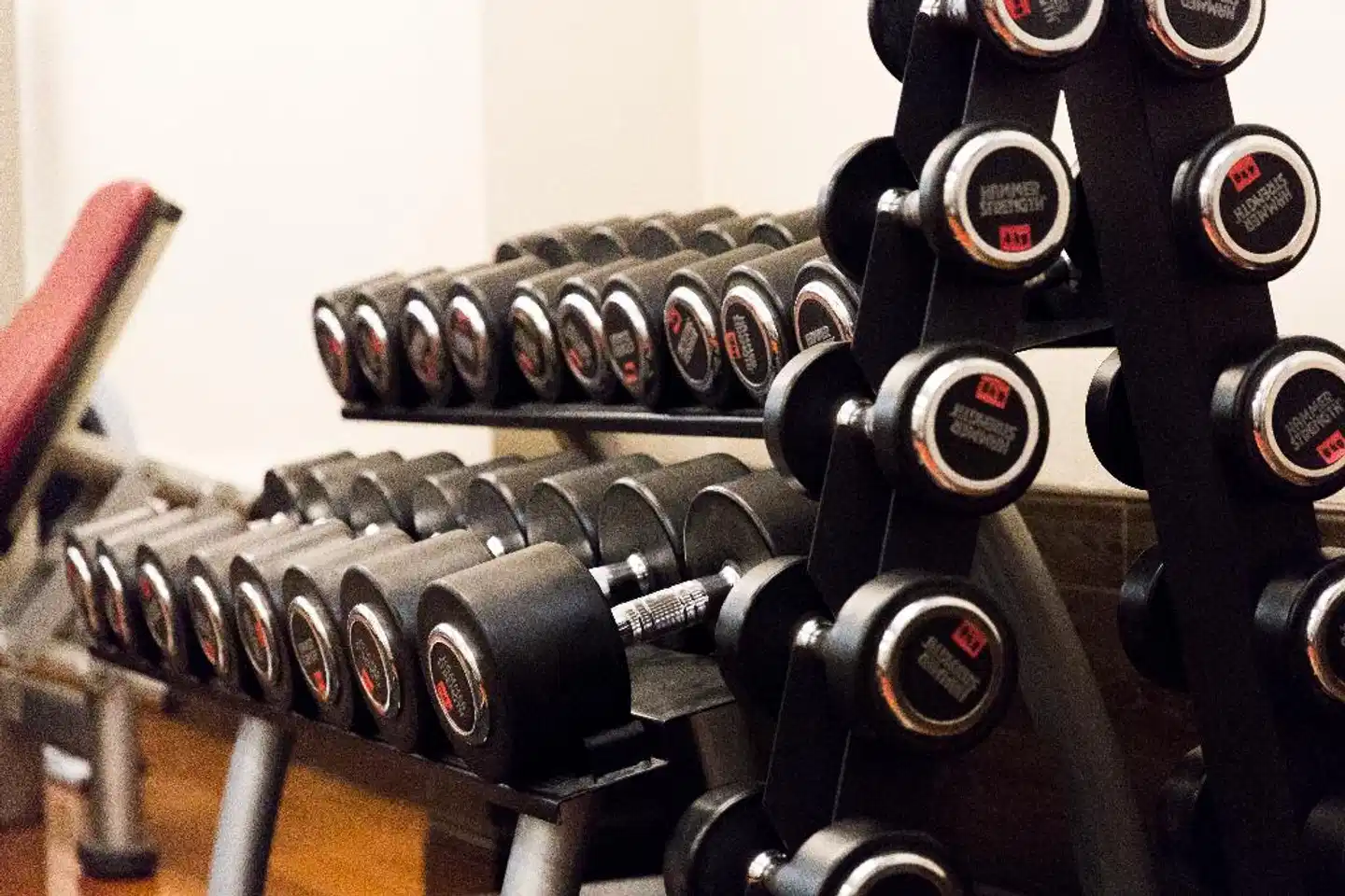 The Royal Yacht Sport und Entertainment