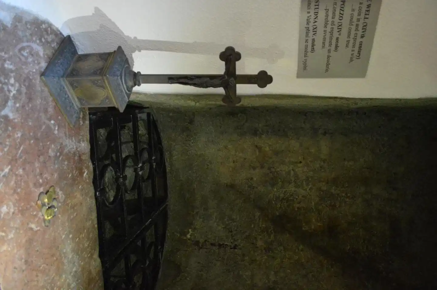 The Golden Wheel Wellness