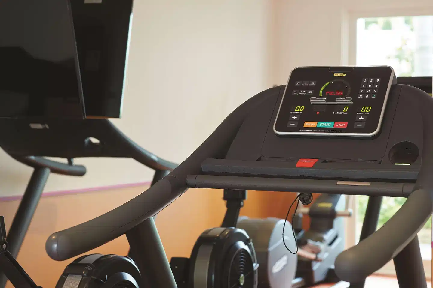 Adina Chippendale Sport und Entertainment