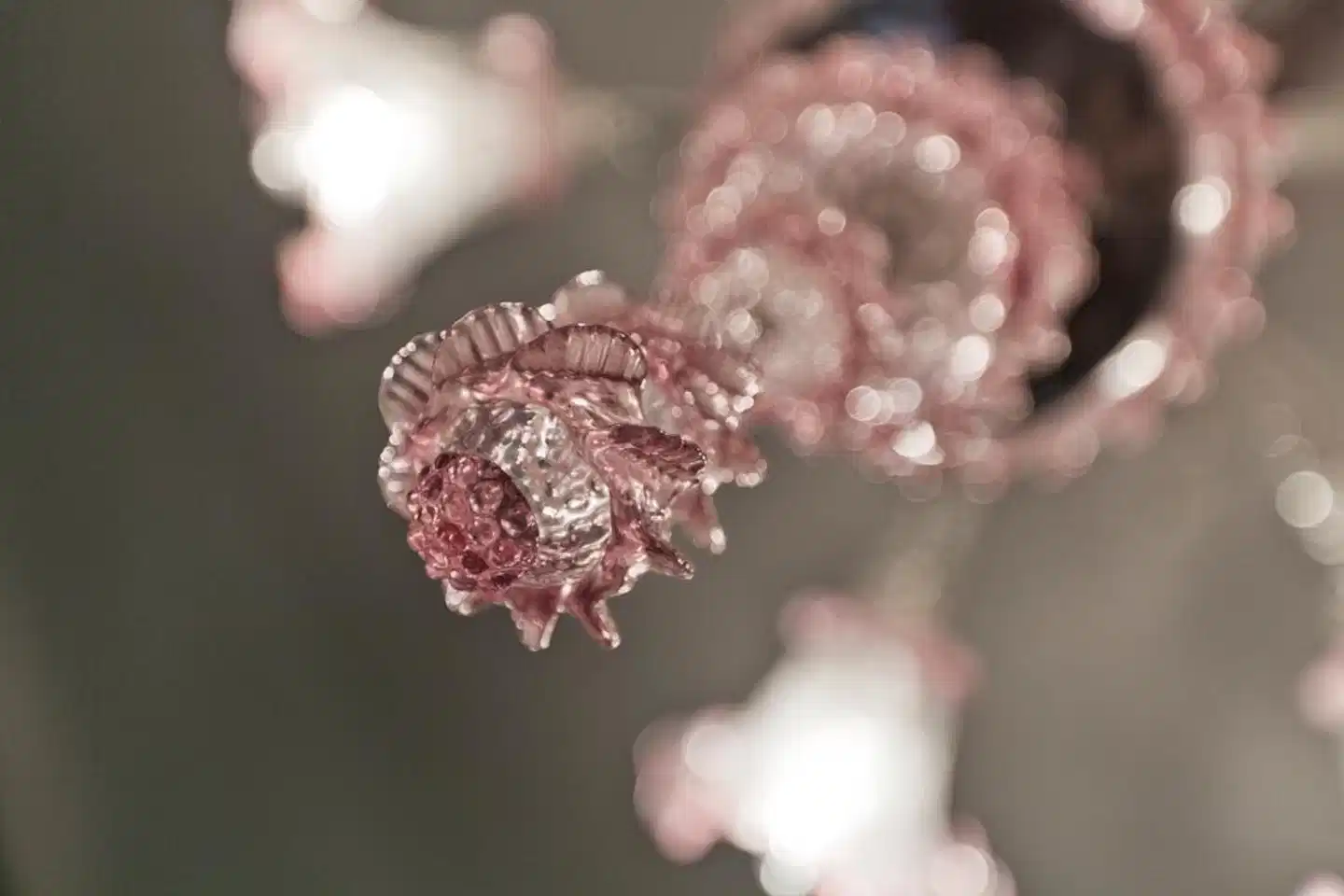 Palazzo Cendon Tiere