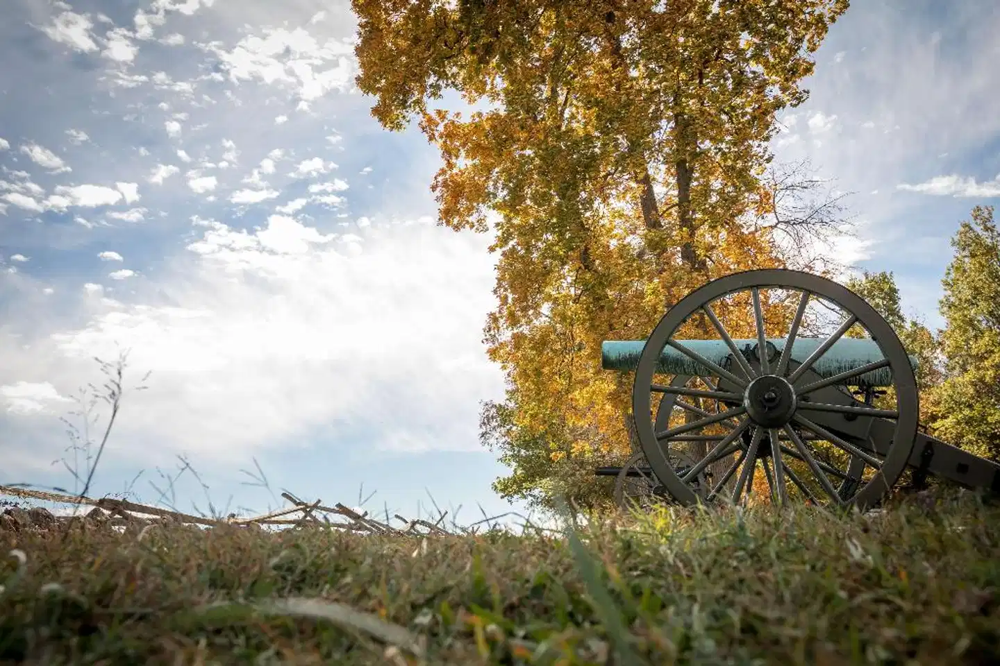 Best Western Premier The Central Hotel & Conference Center Landschaft