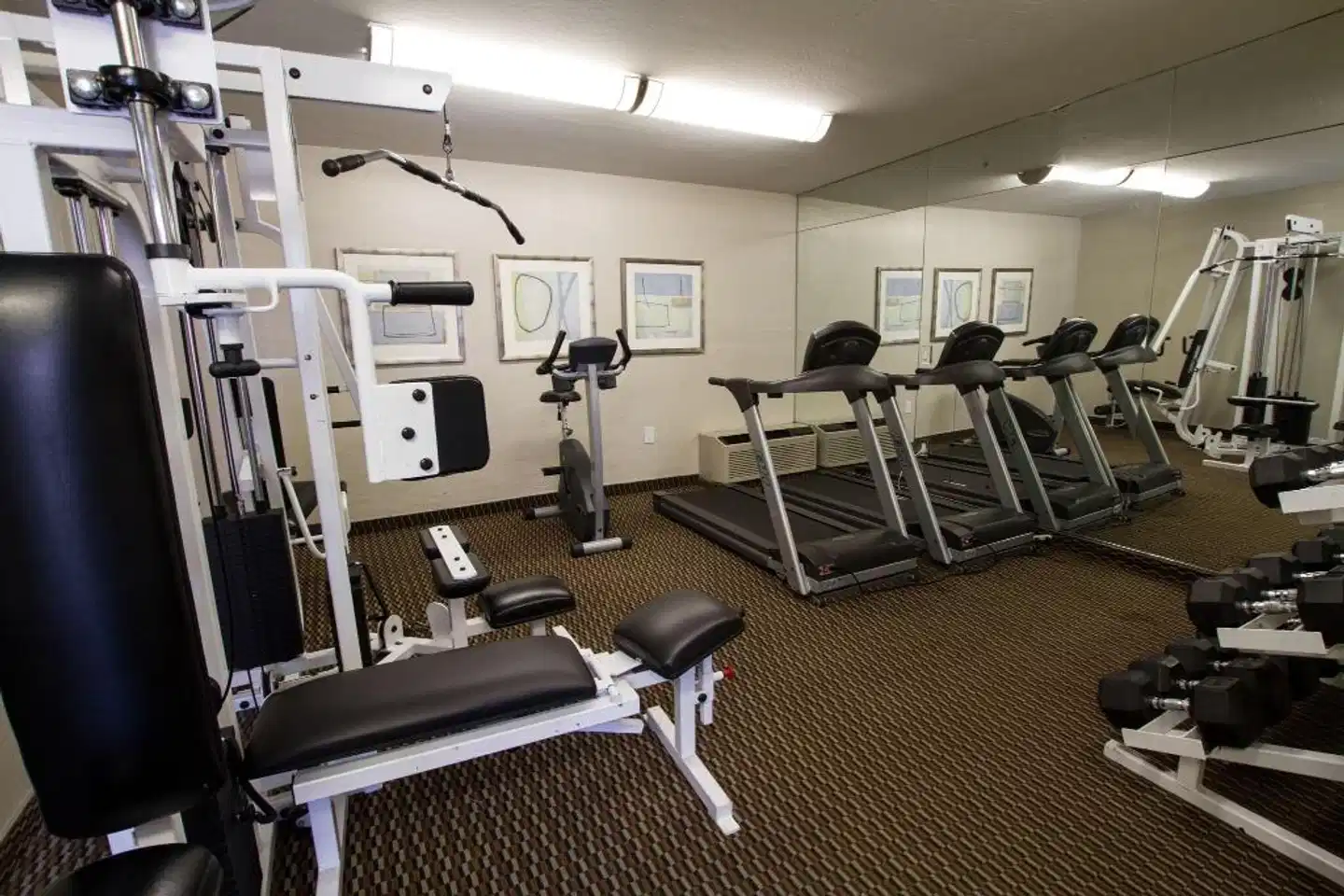 3 Palms Scottsdale Sport und Entertainment