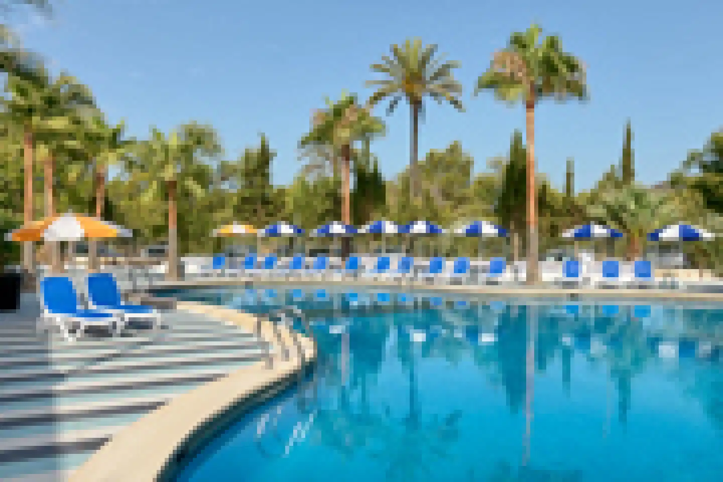 Tent Mojito Suites Pool