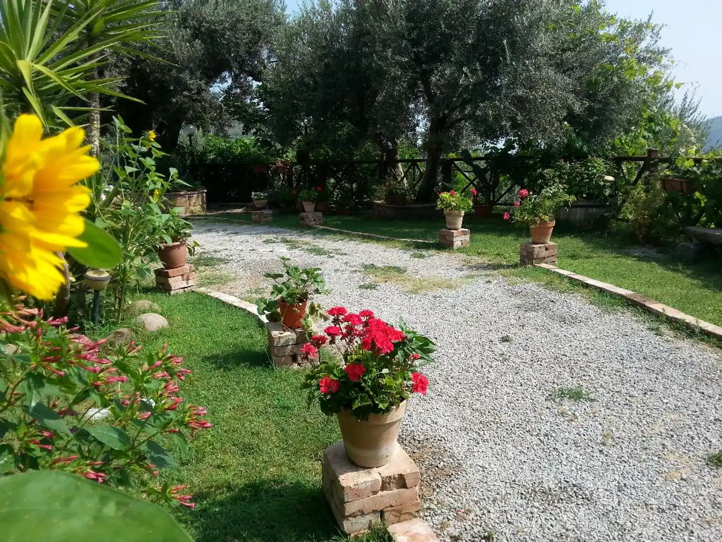 L'Uliveto Garten