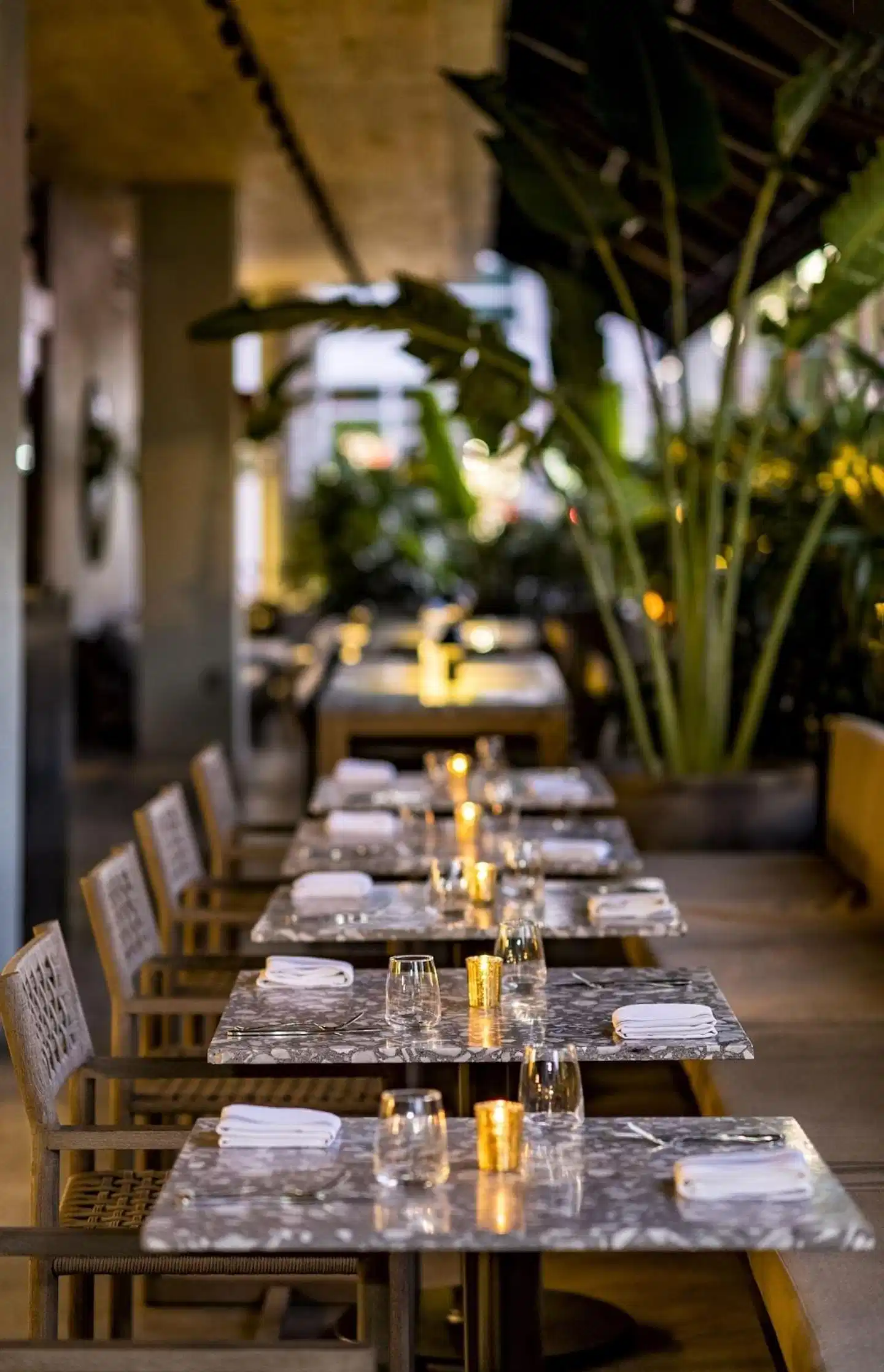 Urbanica The Euclid Hotel Terrasse