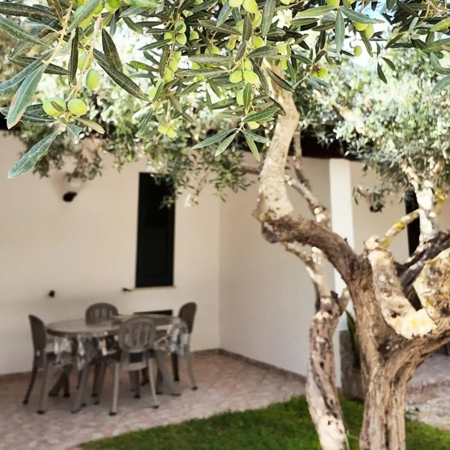 Lilybeo Village Tiere