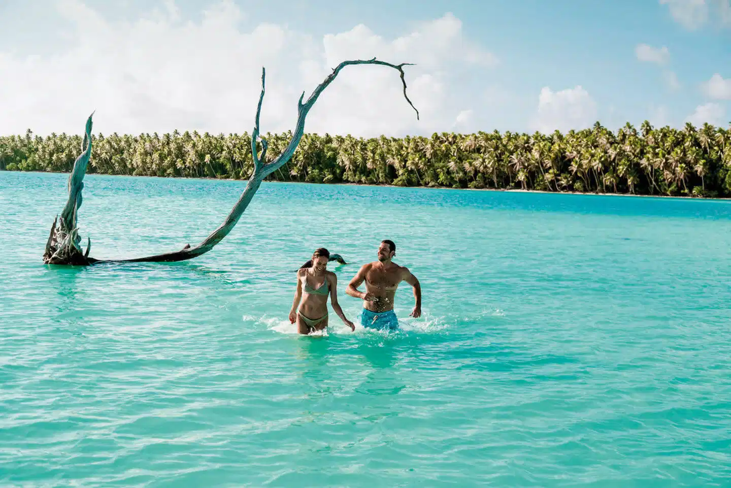 The Brando - Tetiaroa Private Island Pool