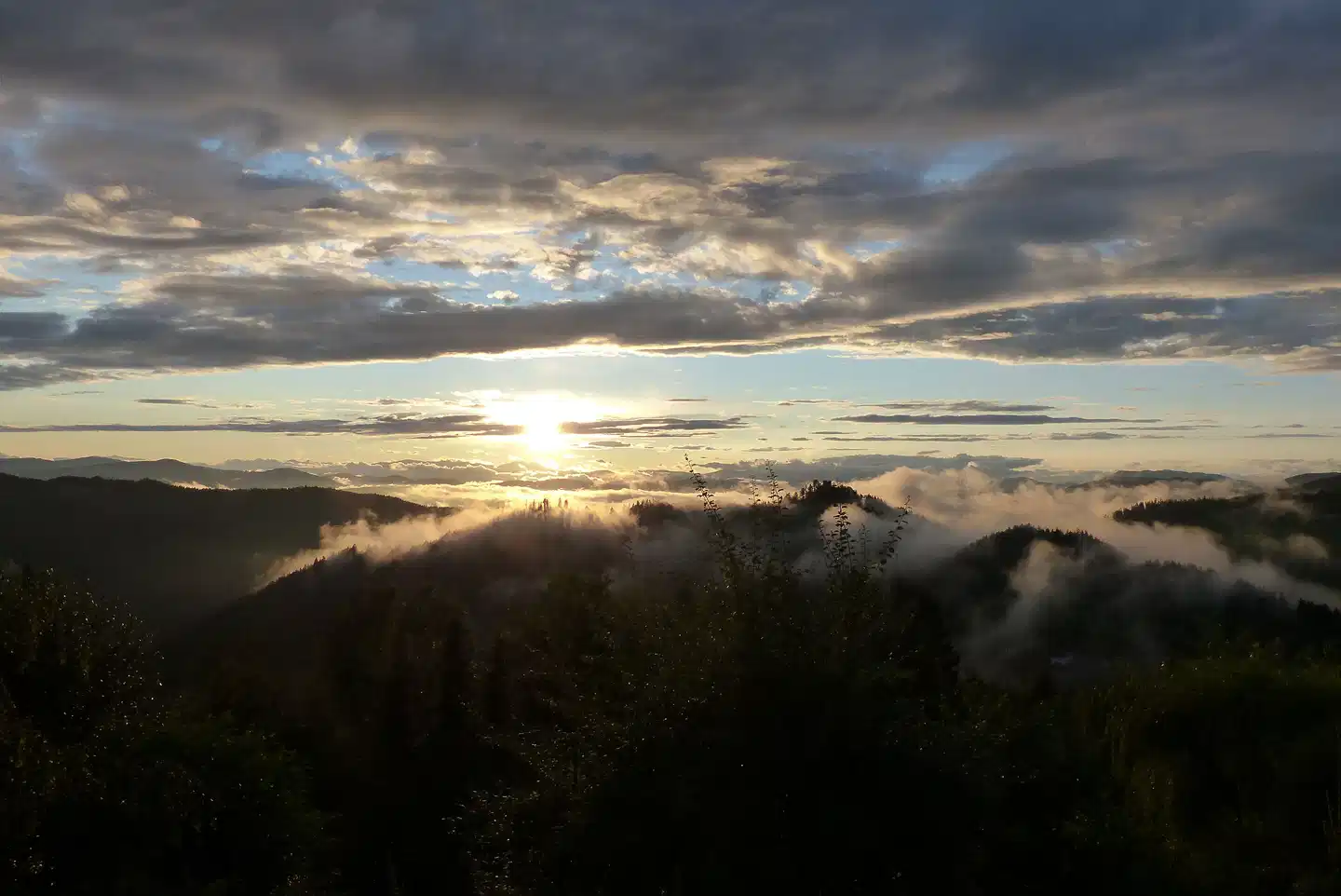 Biolandhaus Arche Landschaft