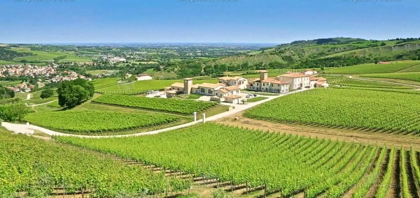 Borgo Condé Wine Resort Landschaft