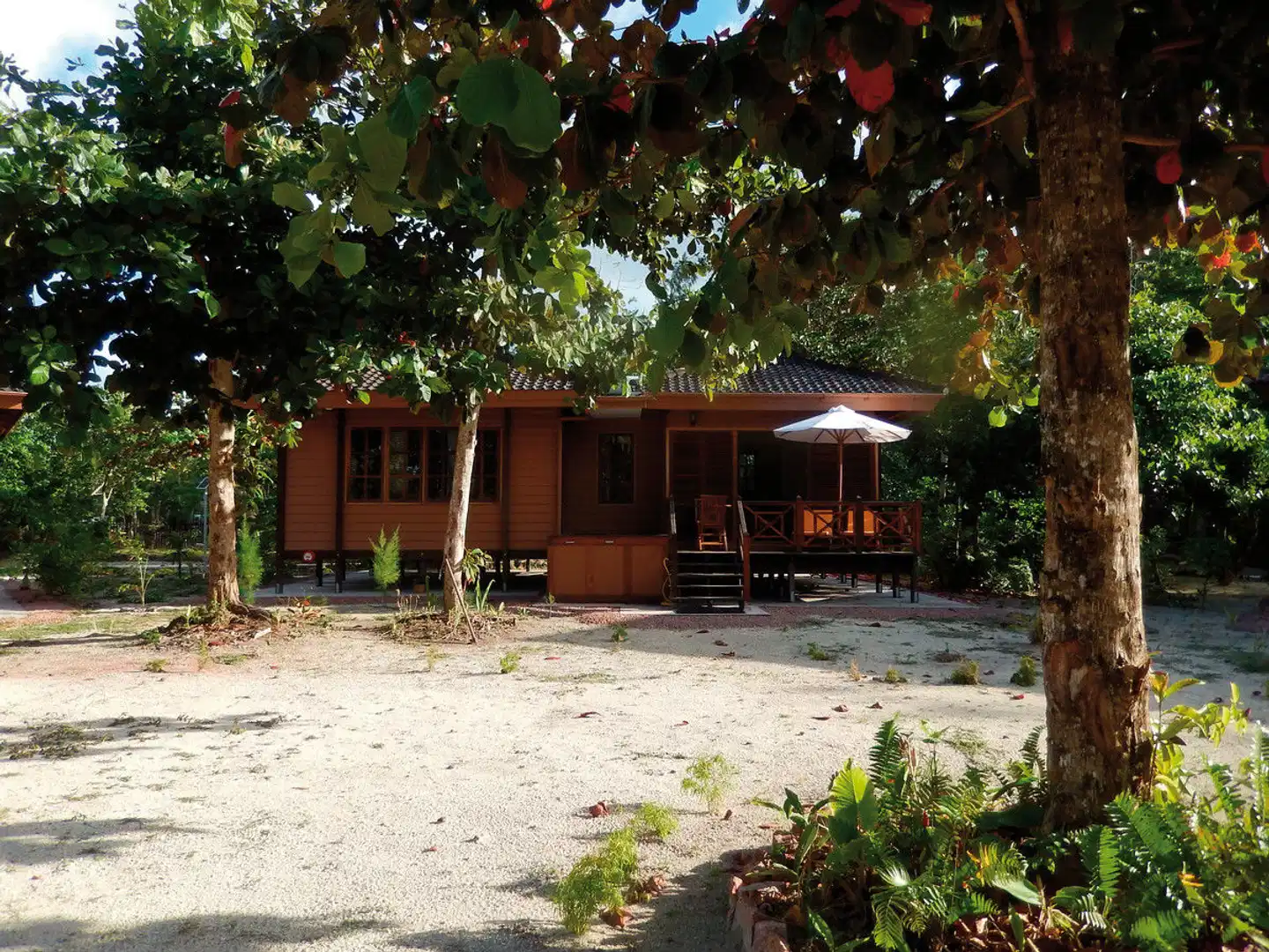 Heliconia Grove Garten