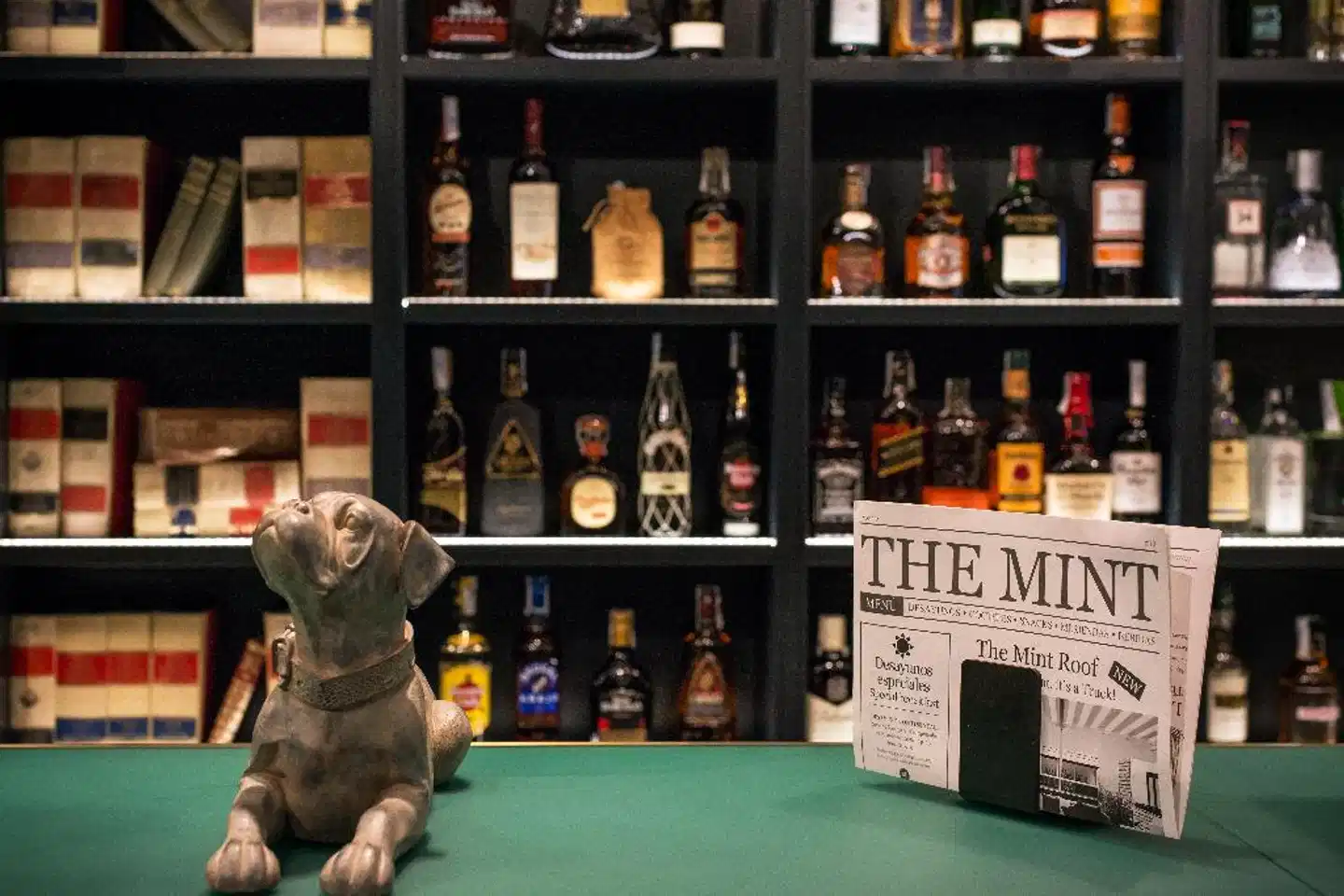 Vincci The Mint Sport und Entertainment