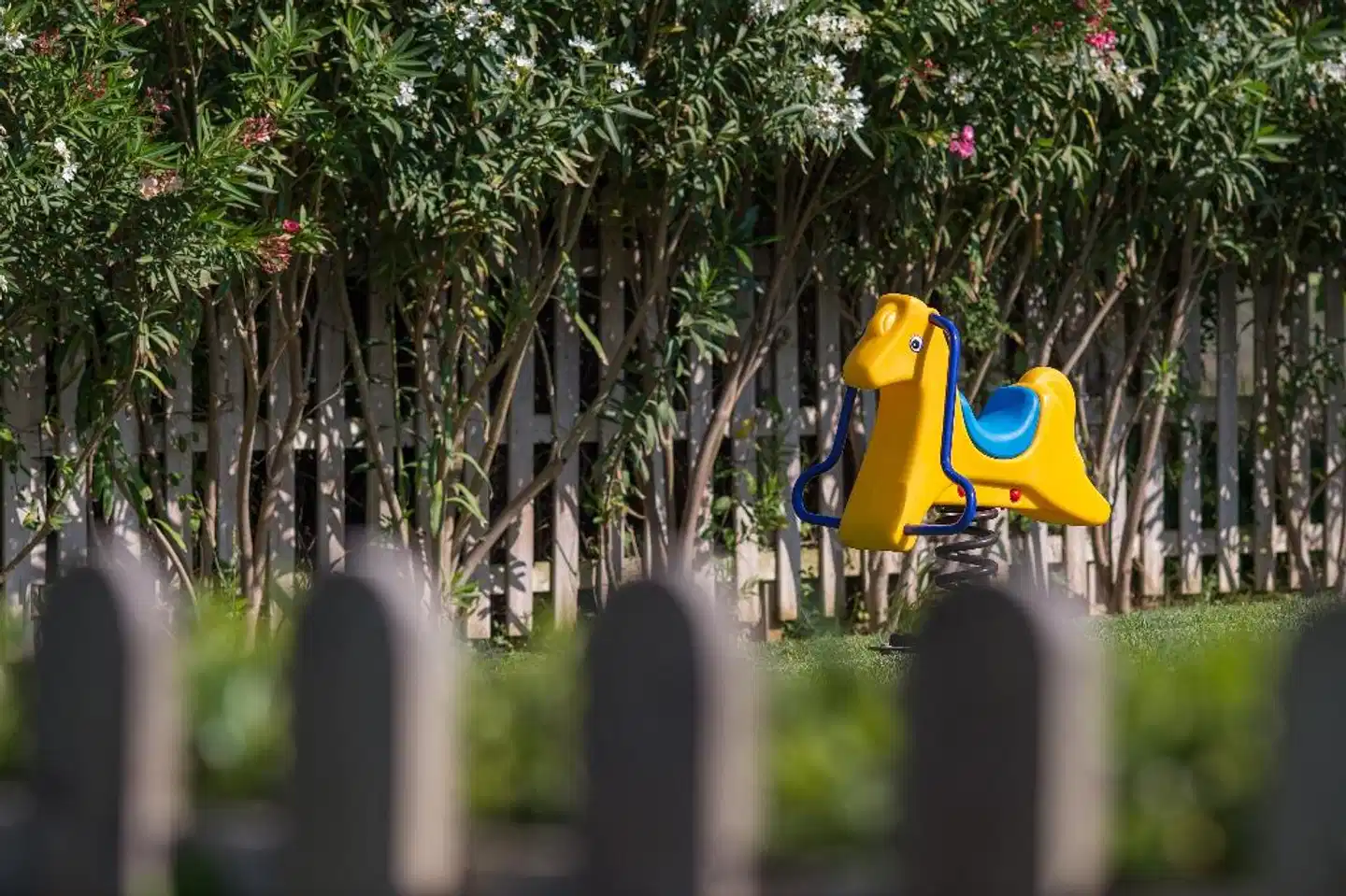 Cretan Dream Resort & Spa Tiere