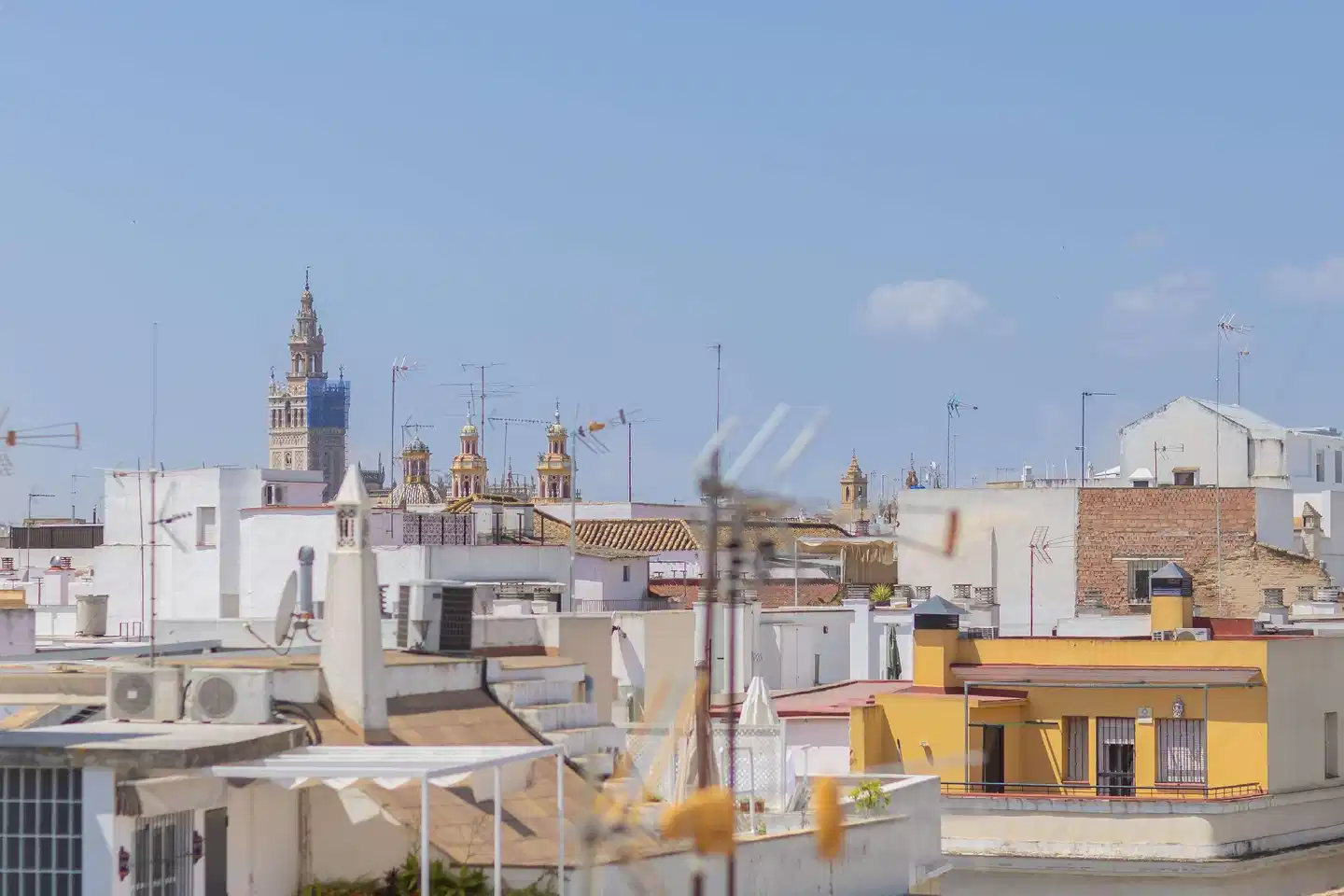 Itaca Artemisa Terrasse