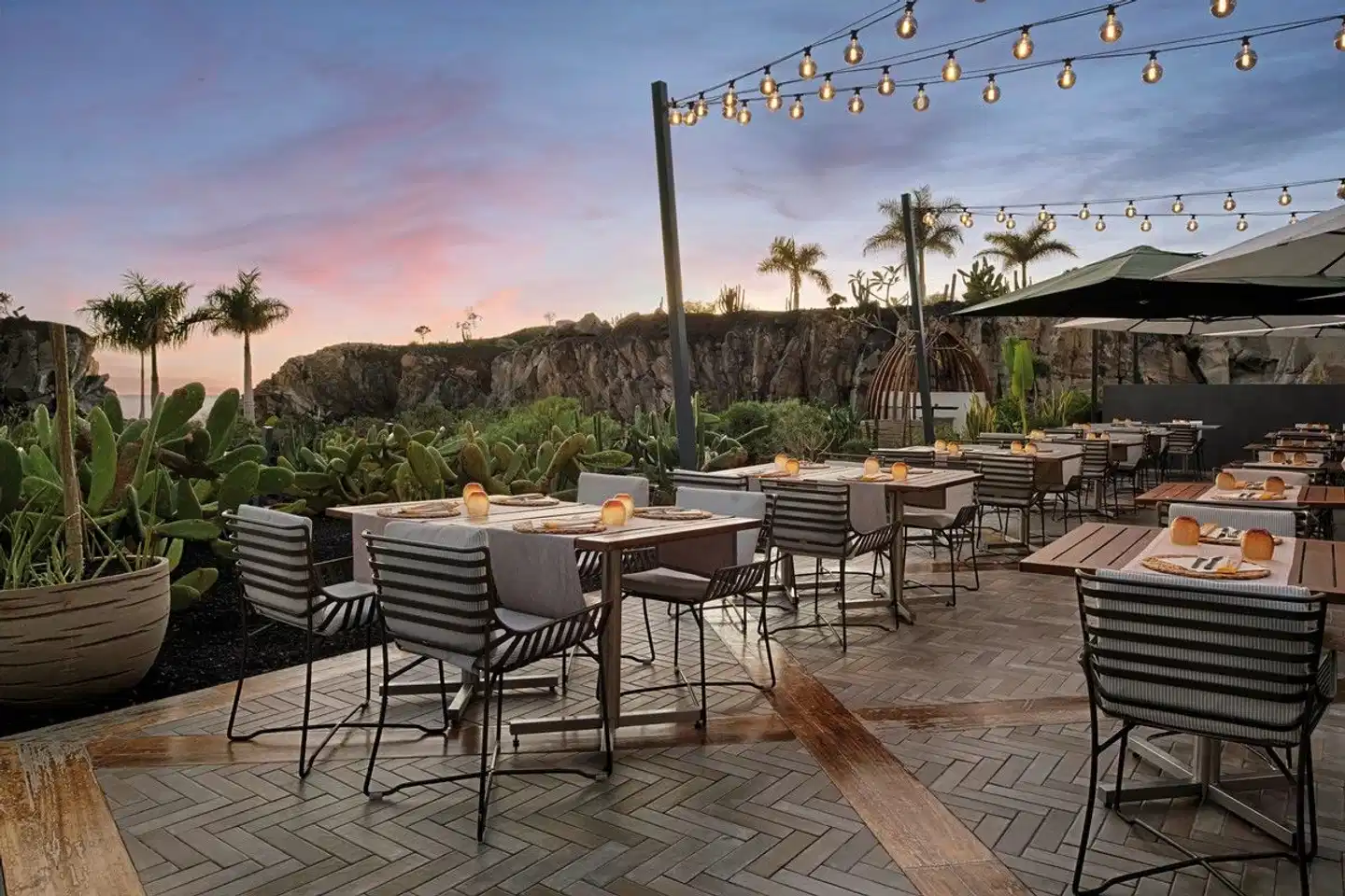 Royal Hideaway Corales Beach & Suites Terrasse