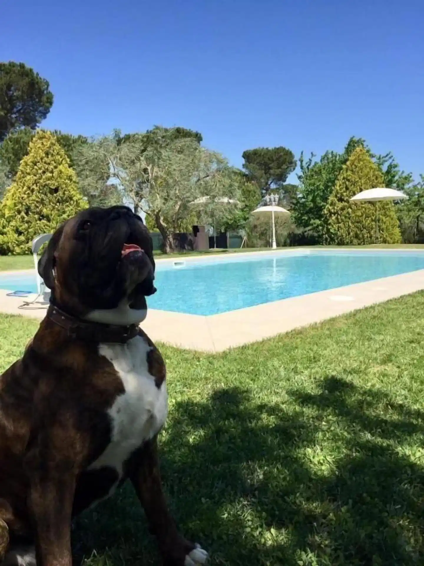 Agriturismo al Colle Pool