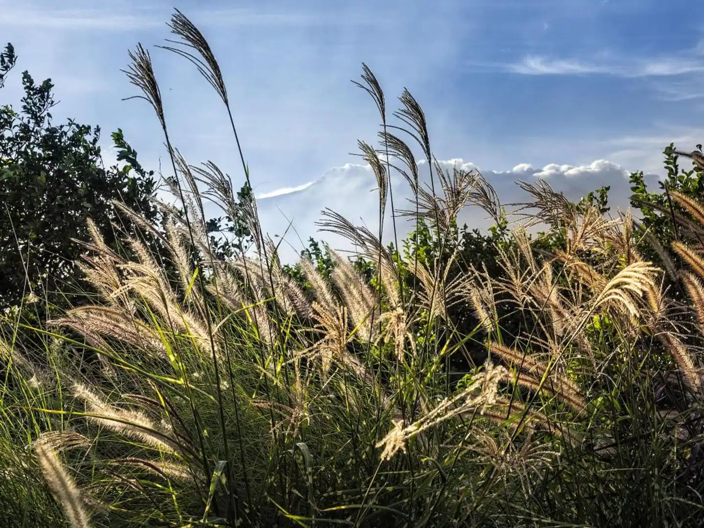 Ramo d'Aria Landschaft