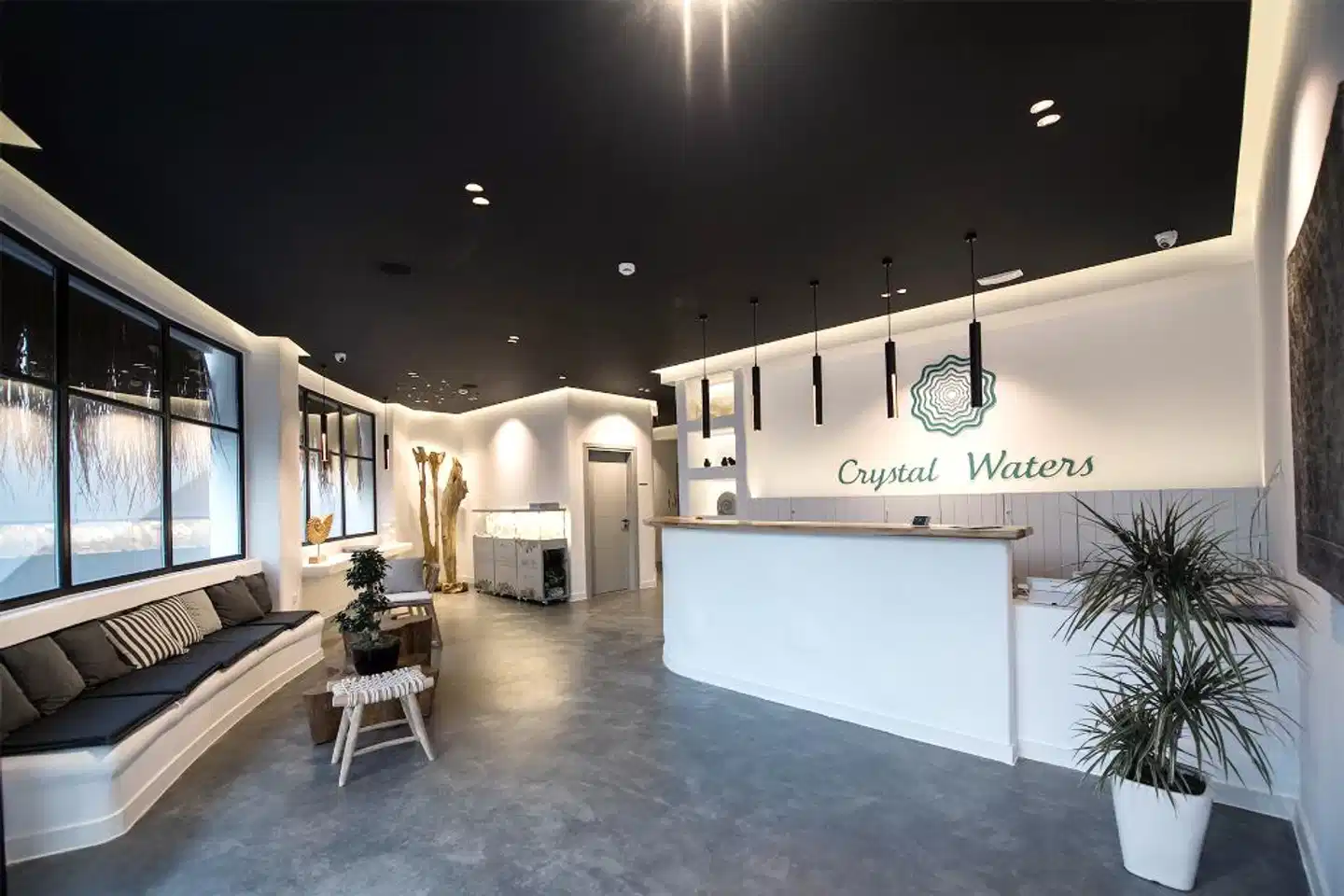 Crystal Waters Konferenz