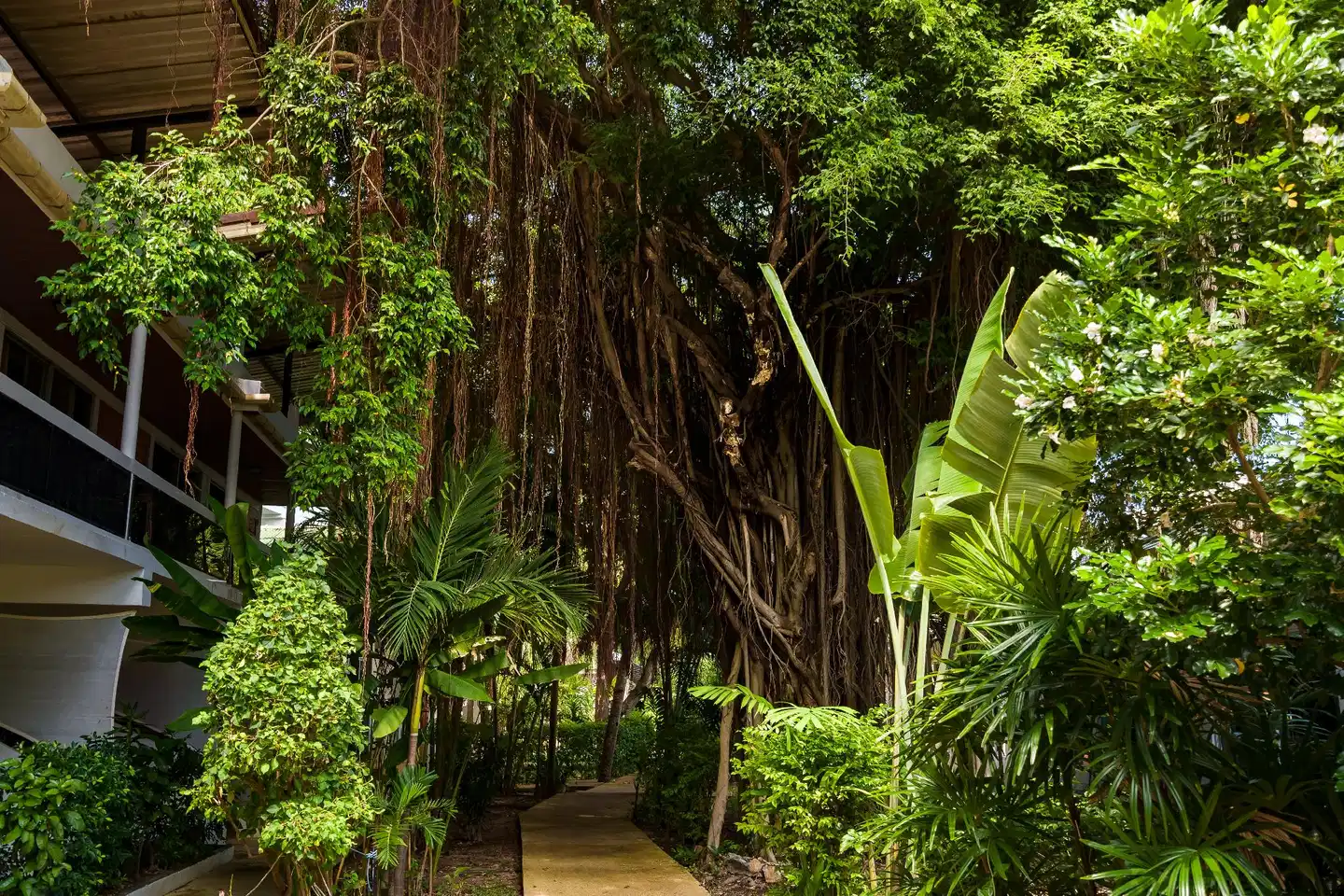 4U Resort Samui Garten