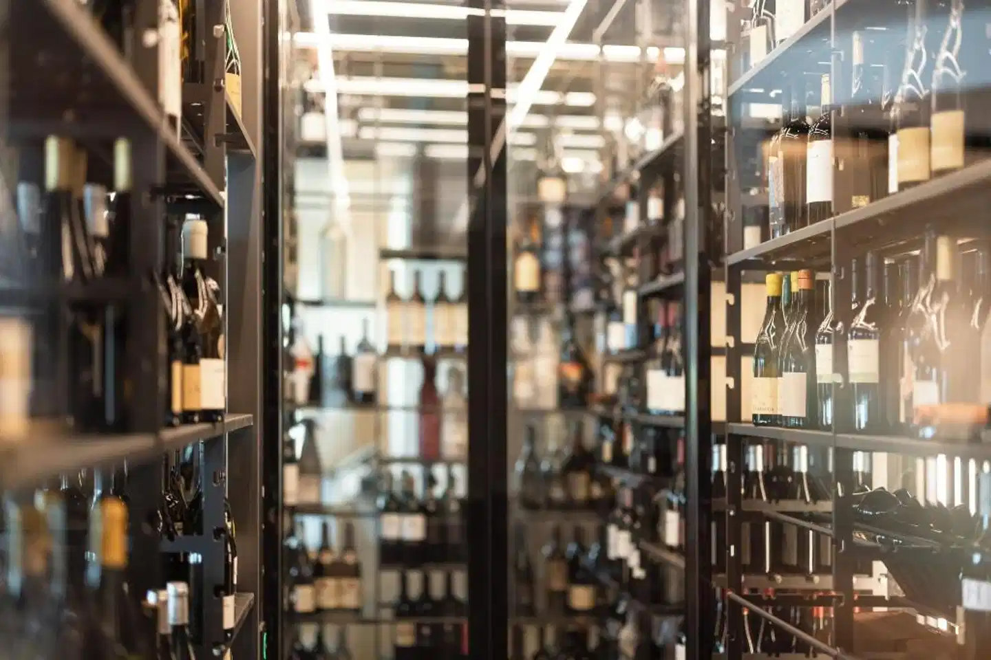 Santre dolomythic home Lobby