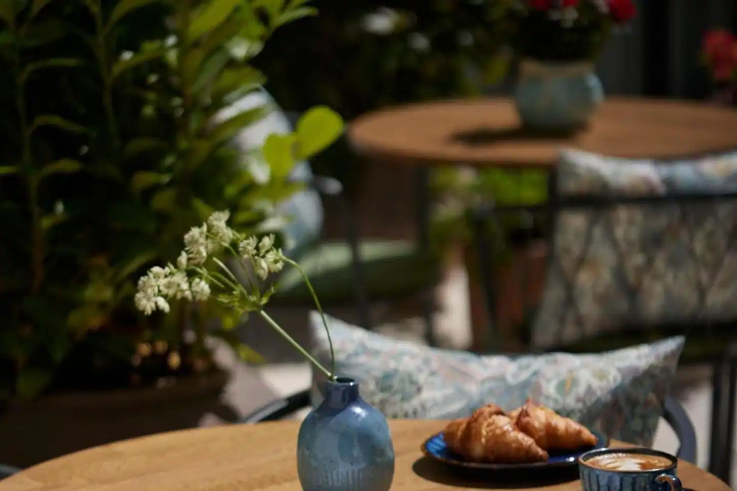 Stradom House, Autograph Collection Tiere