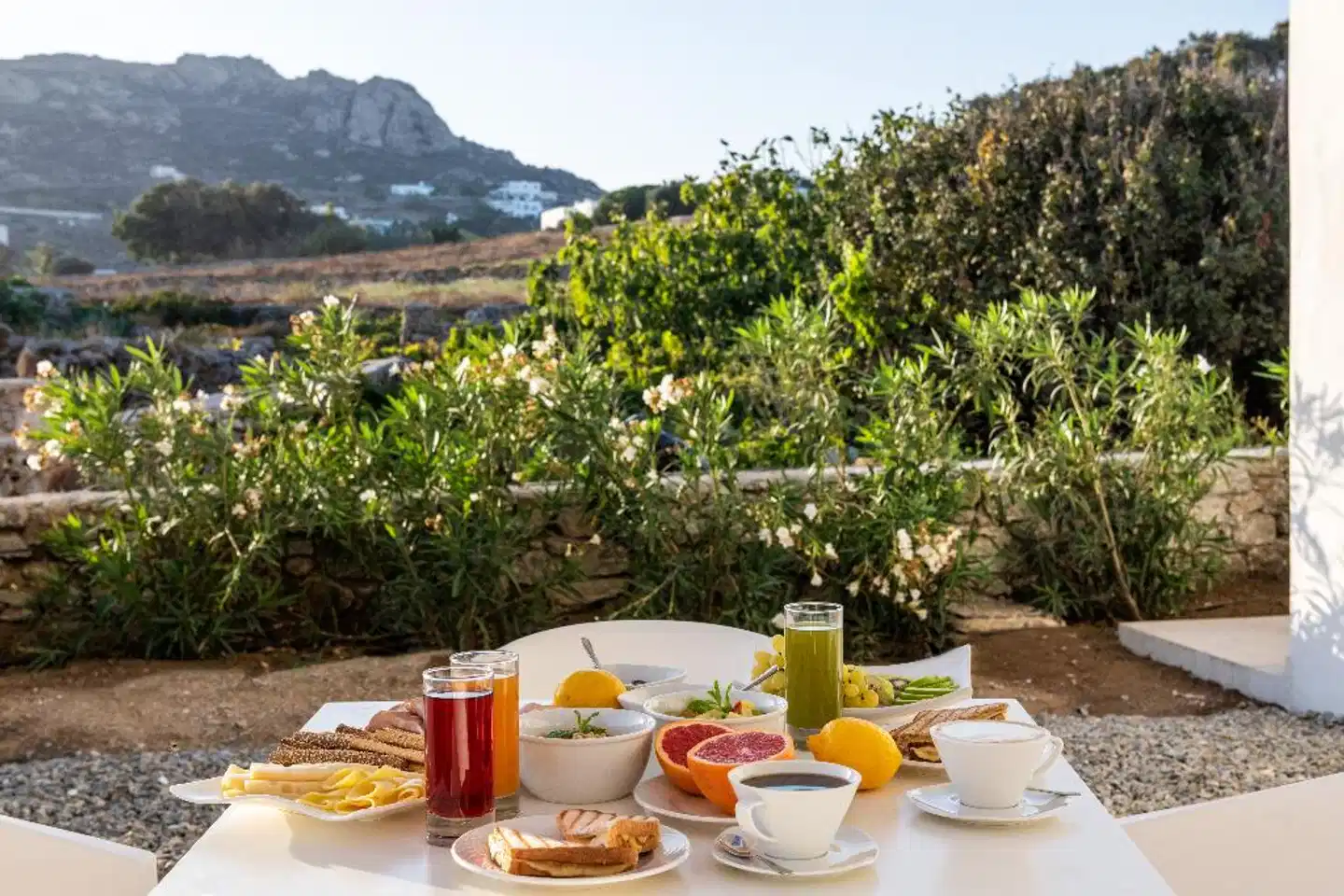 Mykonaki Hotel Terrasse