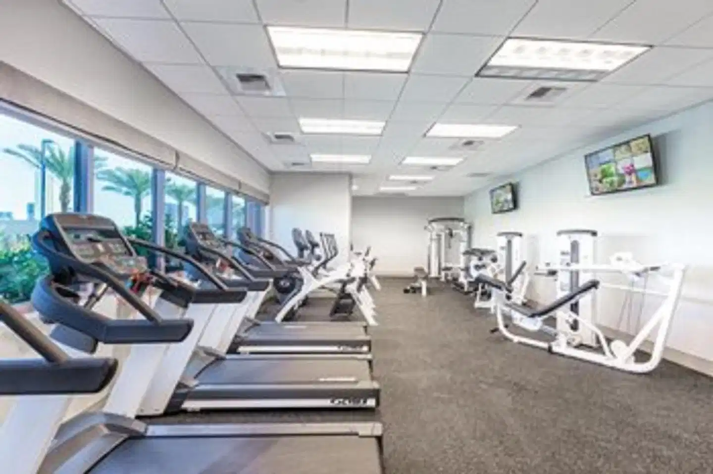 Wyndham Desert Blue Sport und Entertainment