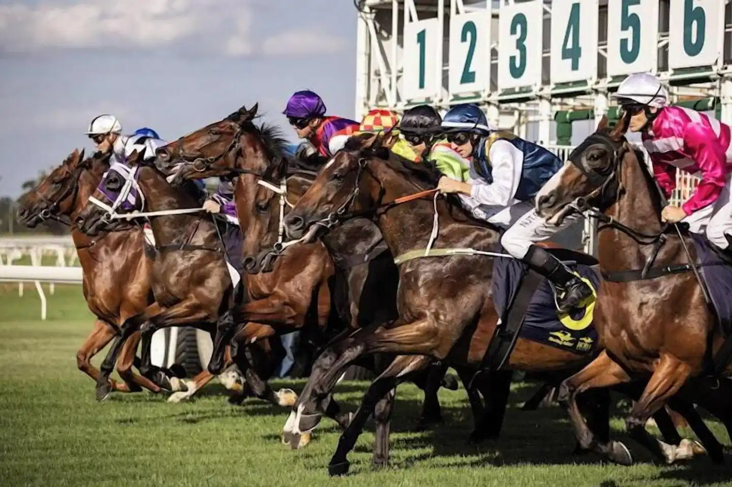 SureStay by Best Western New Inn Richmond Tiere