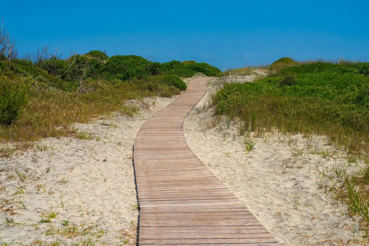 Relais Masseria Le Cesine BEACH