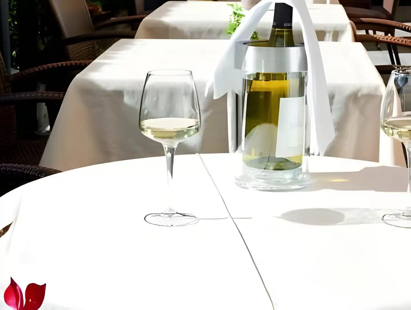 Central La Fainera Wellness