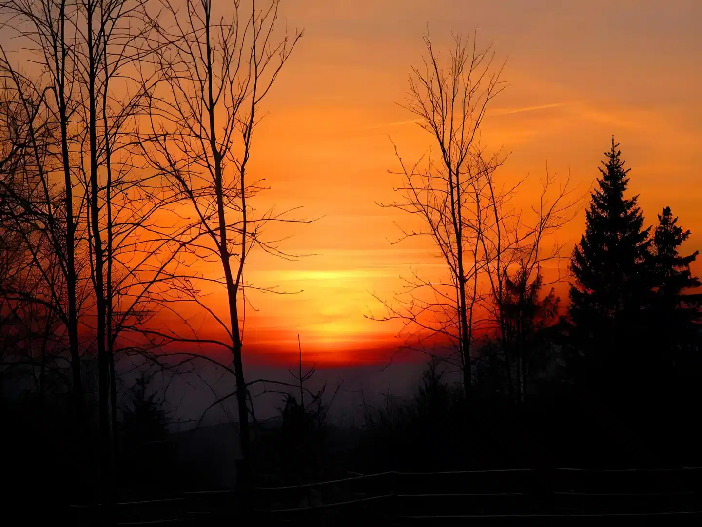 Haus am Karpfenteich Landschaft
