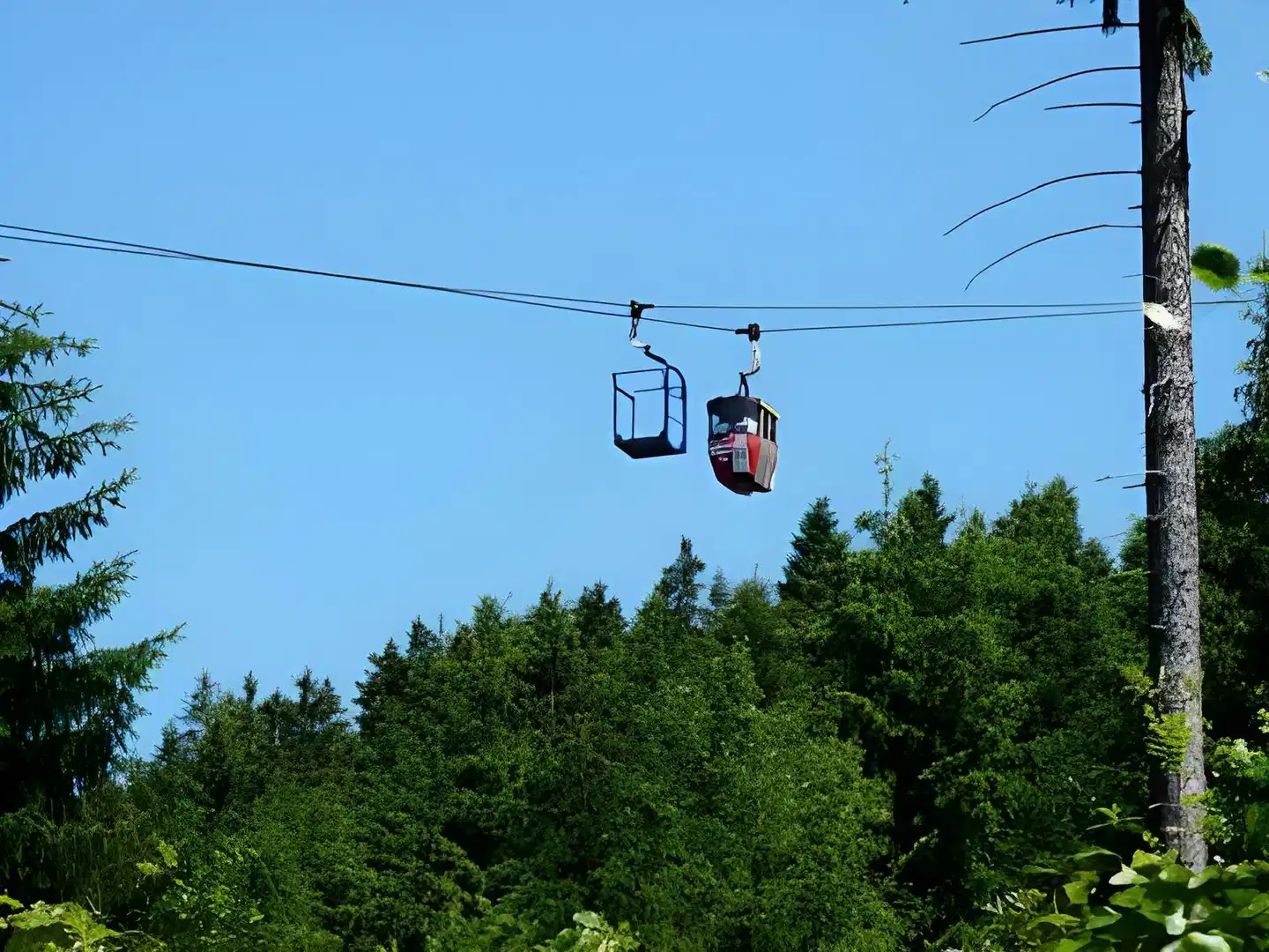 Haus am Karpfenteich Sport und Entertainment