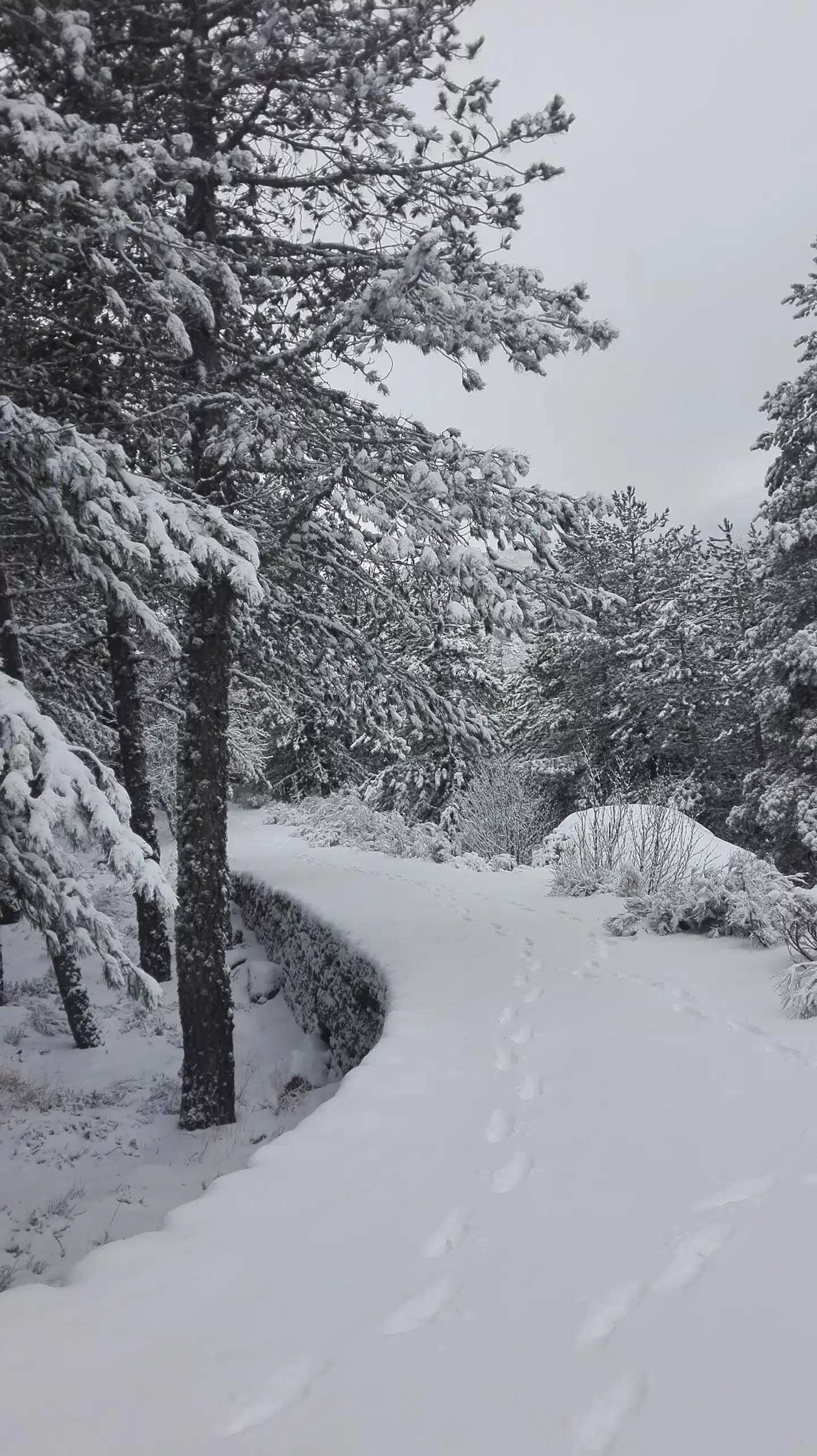 Pousada da Serra da Estrela Landschaft
